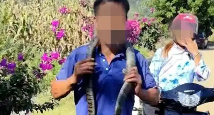 贵州一男子将眼镜蛇挂在脖子上玩，被咬一口毙命