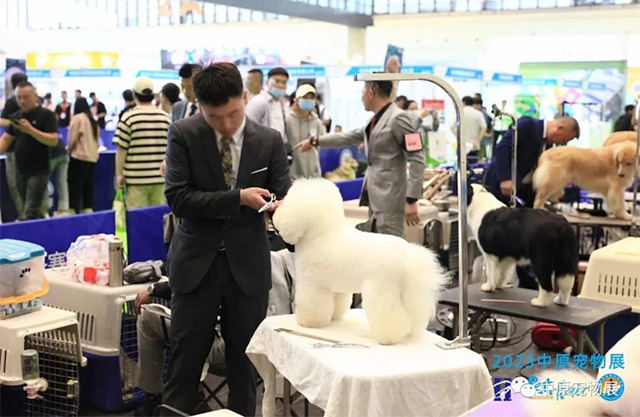 2023第六届中原国际宠物产业博览会盛大开幕