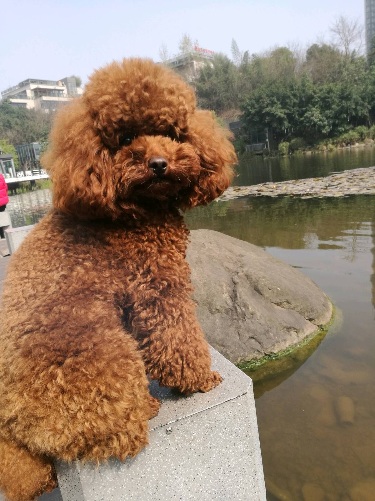 春天到了不能再任性了,每天跟麻麻一起跑跑跑,好身材跑出来