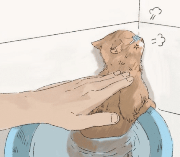 女子给猫咪洗澡,中途出去接了个电话,再回来一看顿时心虚了