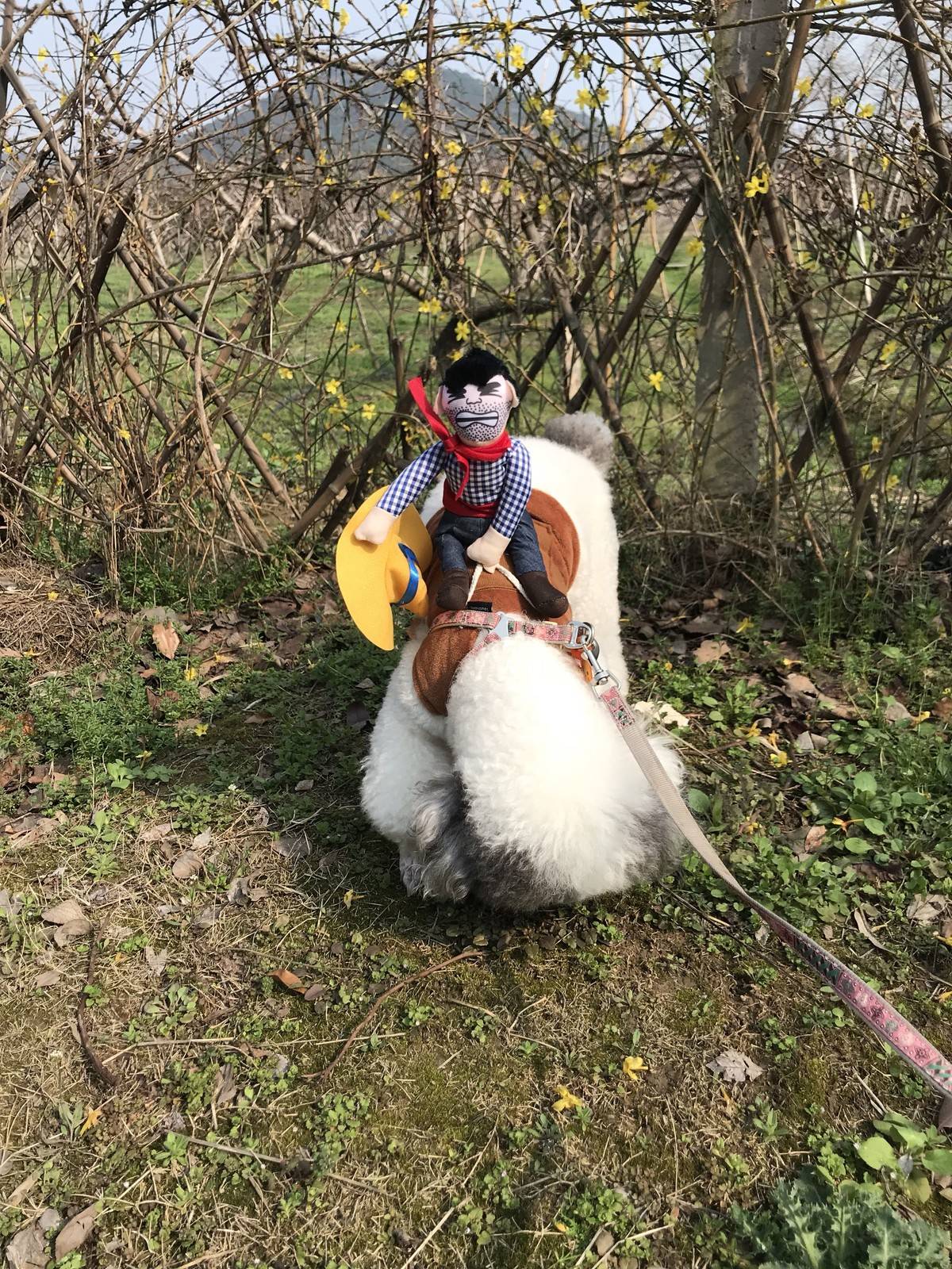 天气好好 踏踏青