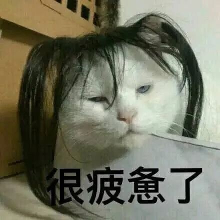 宠物发情喂避孕药可以吗?这些后果需要考虑