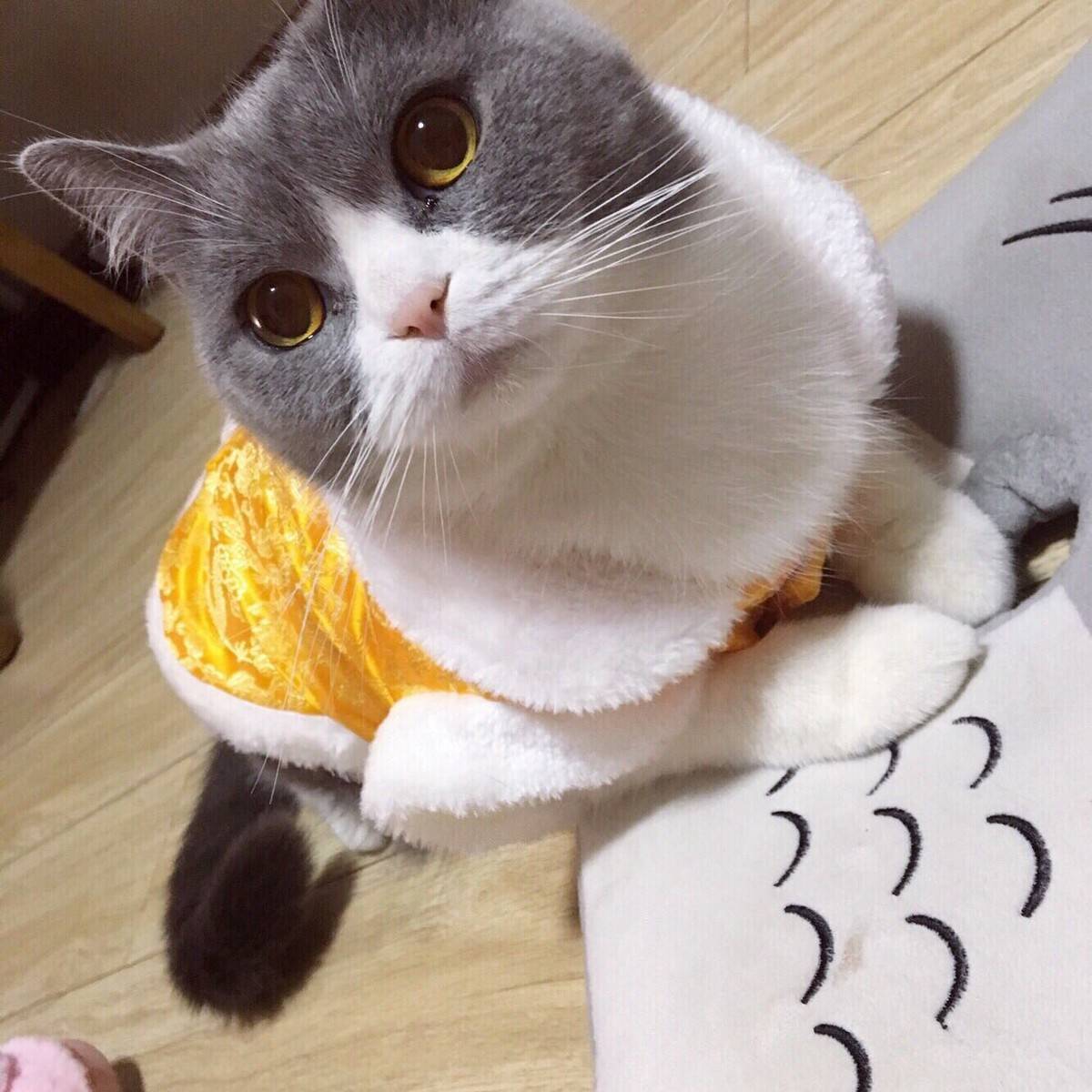 哀家乏了，尔等跪安吧。 容嬷嬷，送客。