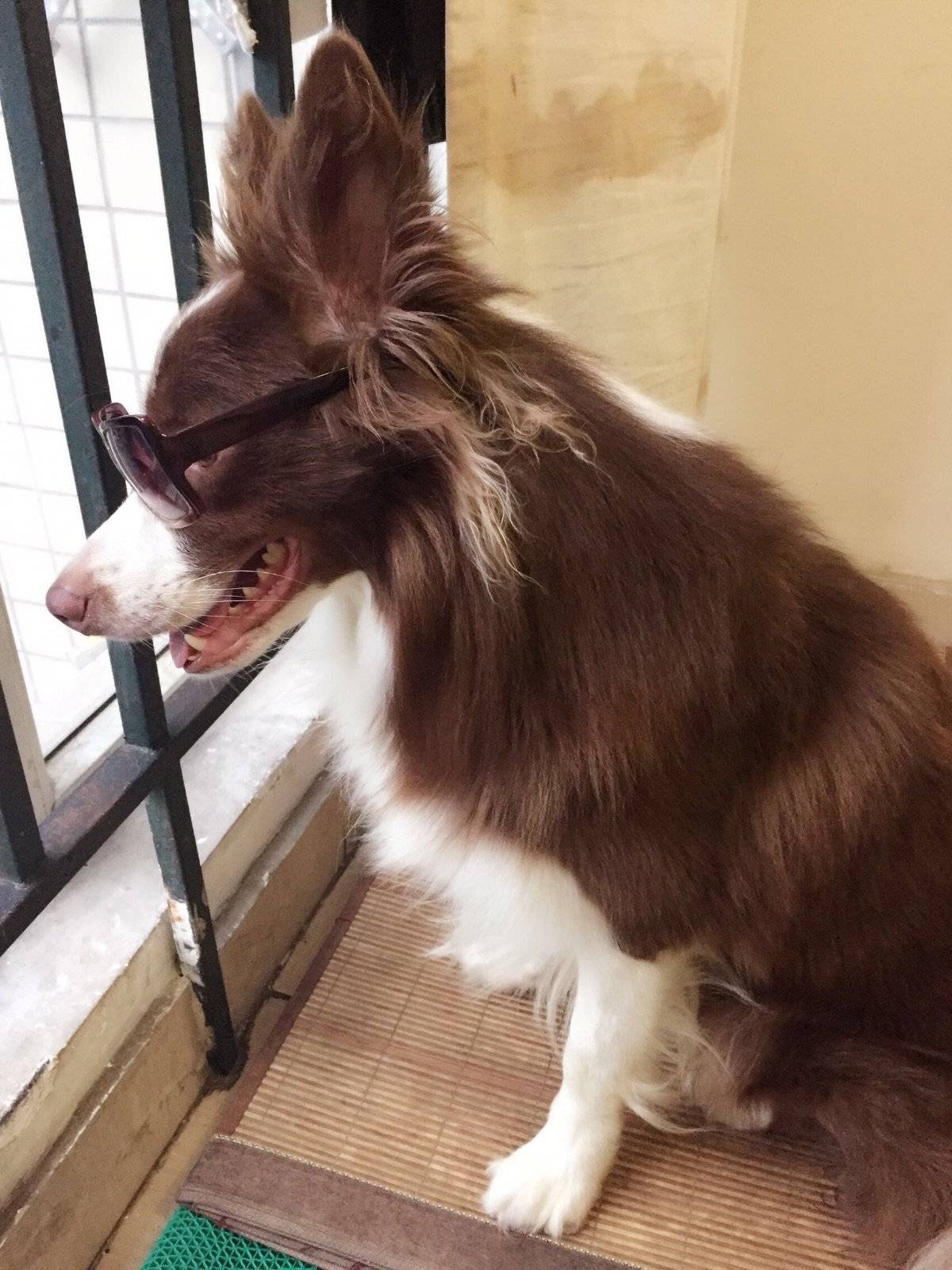 走,跟着大哥混有饭吃