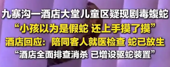 酒店大堂惊现毒蛇，小孩以为是假蛇还去摸了，店方：已放生