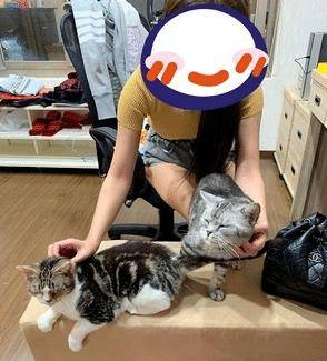 猫咪洗澡竟笑得如此灿烂,原来这一切都是“遗传”惹的祸!