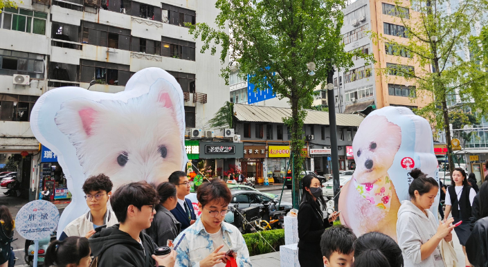 滴滴上线宠物友好地图已合作超100家宠物友好门店