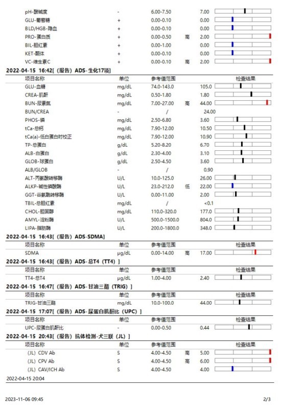 一例犬睾丸肿瘤的诊断与治疗