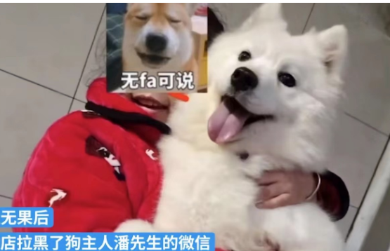 一男子将自家的萨摩耶送去宠物店洗澡,不料......