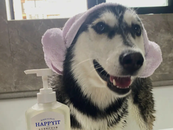 狗狗沐浴露有哪些种类?狗狗沐浴露类型汇总