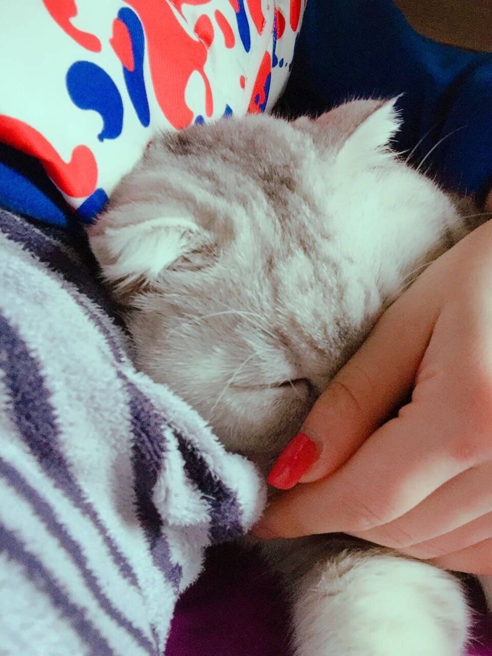 周末，和嬷蜜一起睡午觉