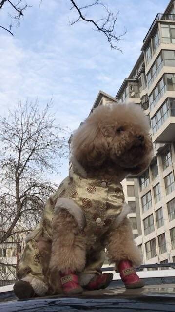 今天的风,怡人,今天的阳光,暖人~今天是惊蛰,春回大地,万物萌动。春回大地!是爱,是暖,是希望