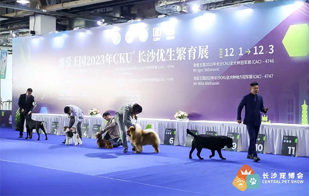 星城宠力值直线飙升,2023首届长沙宠博会活力启幕