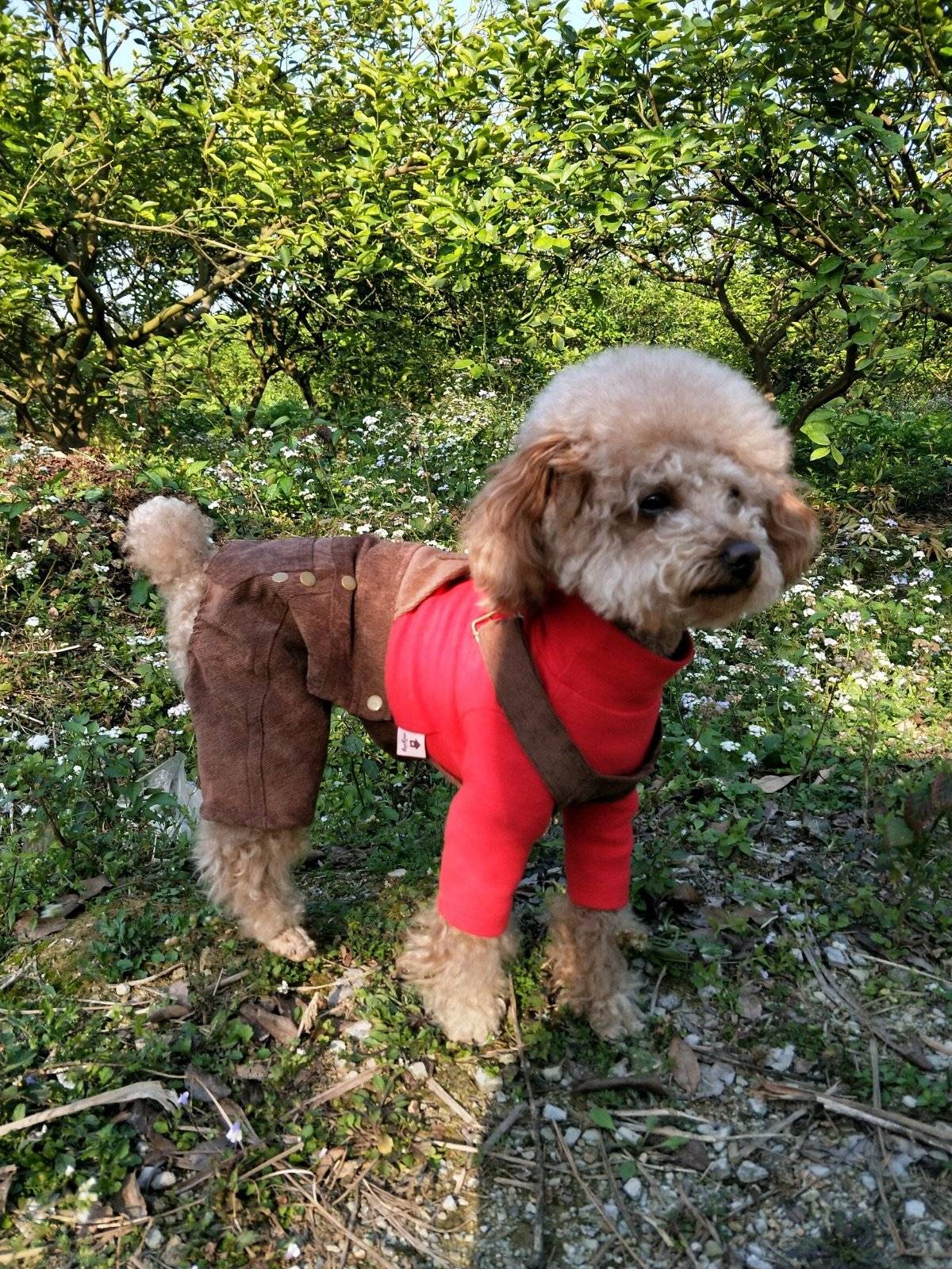 面向阳光，心情飞扬~