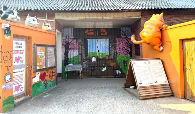 从收容到共生，上海猫岛成为城市治理样本