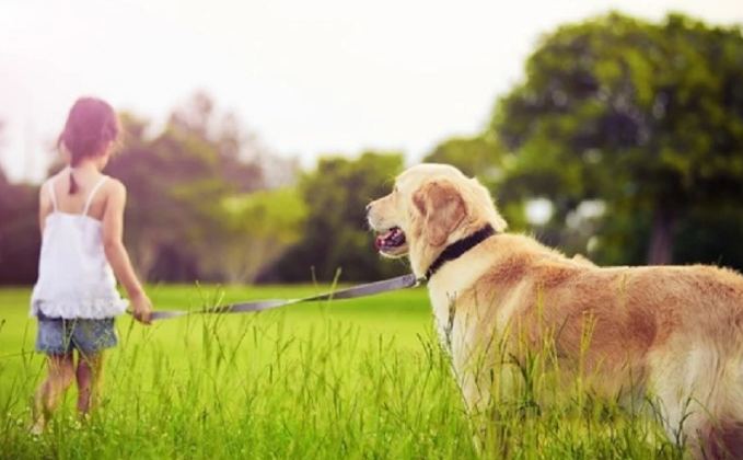 宠物沐浴露到底该怎么选?这4点为你解惑!