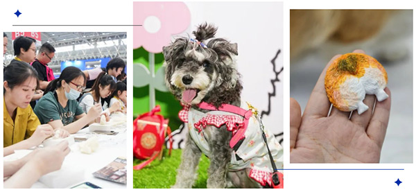 数万宠业人将齐聚广州国际潮宠展,六大亮点提前关注!