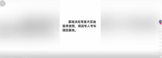 两名盲人带导盲犬爬泰山引争议：网友呼吁将狗狗收回