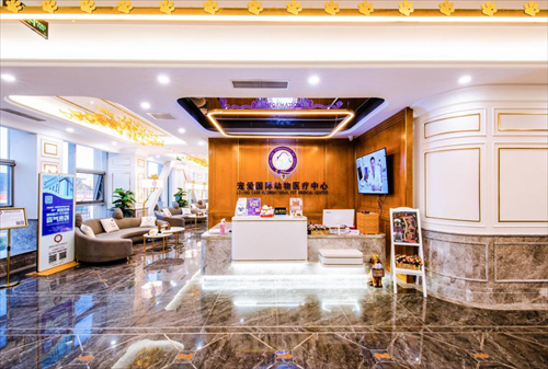 上海亚宠展宠爱国际展厅备受关注，高端宠物医疗服务成吸睛亮点