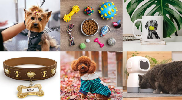 “富养宠物”?年轻人重新定义养宠市场