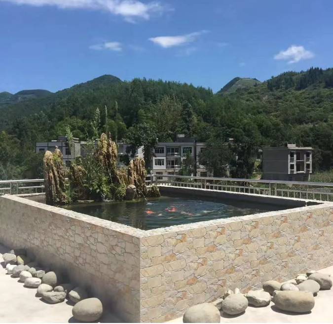 如果可以,退休后,我也想在大山里,盖一栋自己喜欢的房子,没有城市的拥挤和喧嚣,只有山中的鸟叫与虫鸣,伴着蓝天白云和清新空气;在院子里养养鱼种种菜,安详度日、回味人生。