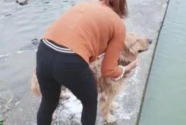 主人家狗狗洗澡,方法简单直接,扔渗水清理整洁