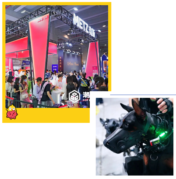 宠业人免费看展！广州潮宠展专业观众预登记火热进行中~