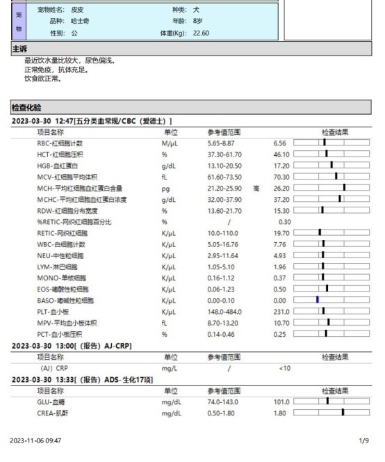一例犬睾丸肿瘤的诊断与治疗