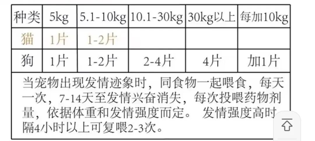 宠物发情喂避孕药可以吗?这些后果需要考虑