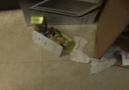 橘猫妈妈夜晚溜进公司,偷吃零食还生下小猫,暖心员工为其找家