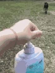 看妈妈取出了沐浴露,狗子微笑秒收:要背井离乡遁入空门一下!