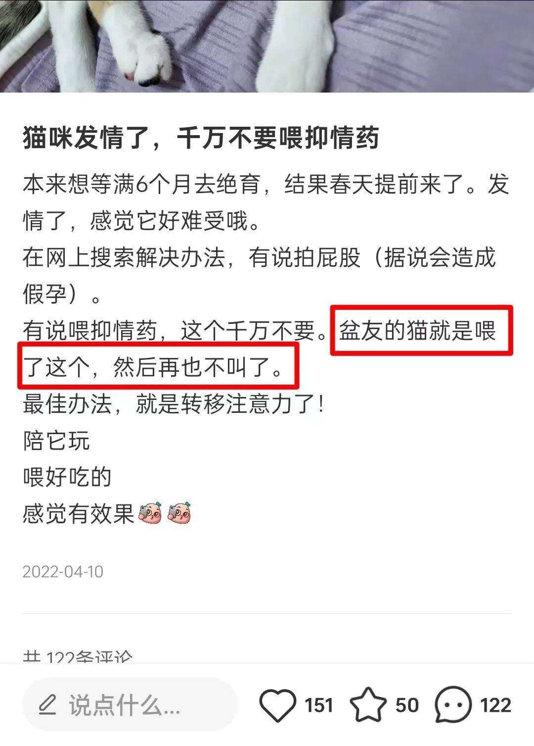 宠物发情喂避孕药可以吗?这些后果需要考虑