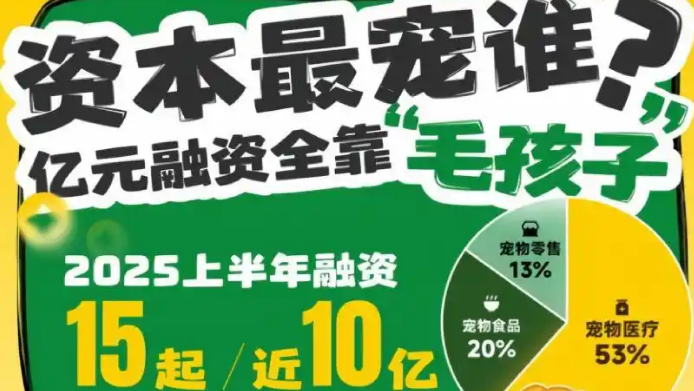 宠物写真上千元,比人贵一倍,谁在为情感“氪金”?