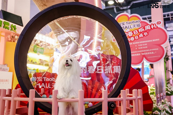 天猫宠物亮相它博会 上淘宝捜“宠物大牌免单"有机会免单