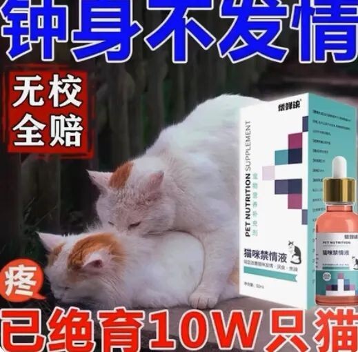 宠物发情喂避孕药可以吗?这些后果需要考虑