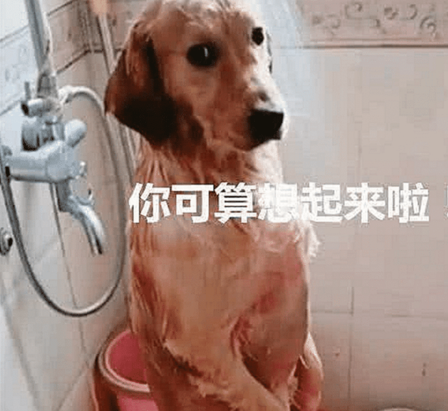 主人给金毛洗澡,洗到一半有急事出门,半个小时回来后看蒙圈了