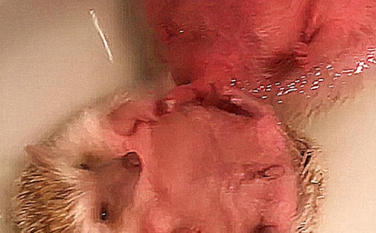 主人给刺猬洗澡,接电话忘关浴霸,差点就熟了呀