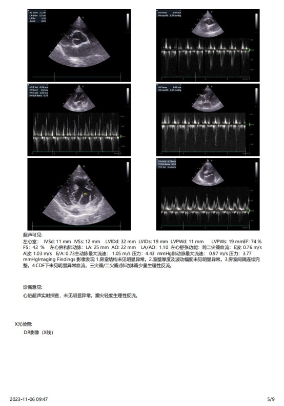 一例犬睾丸肿瘤的诊断与治疗