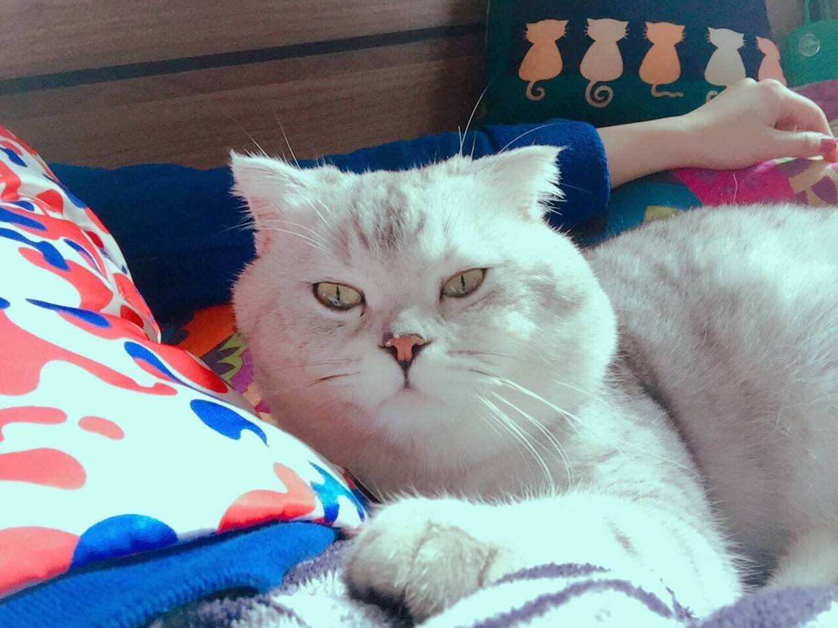 周末，和嬷蜜一起睡午觉