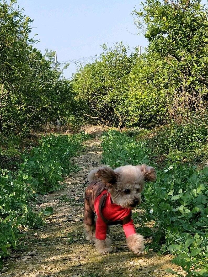 面向阳光，心情飞扬~
