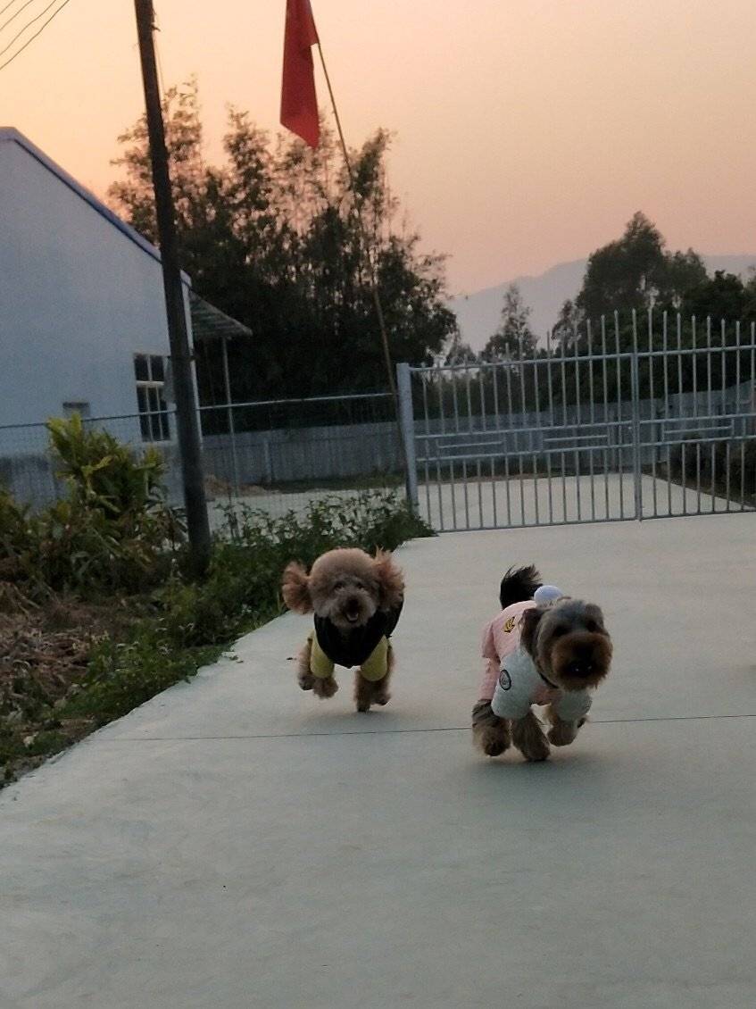 周末了，夕阳西下以前不陪你们疯狂一下怎么行