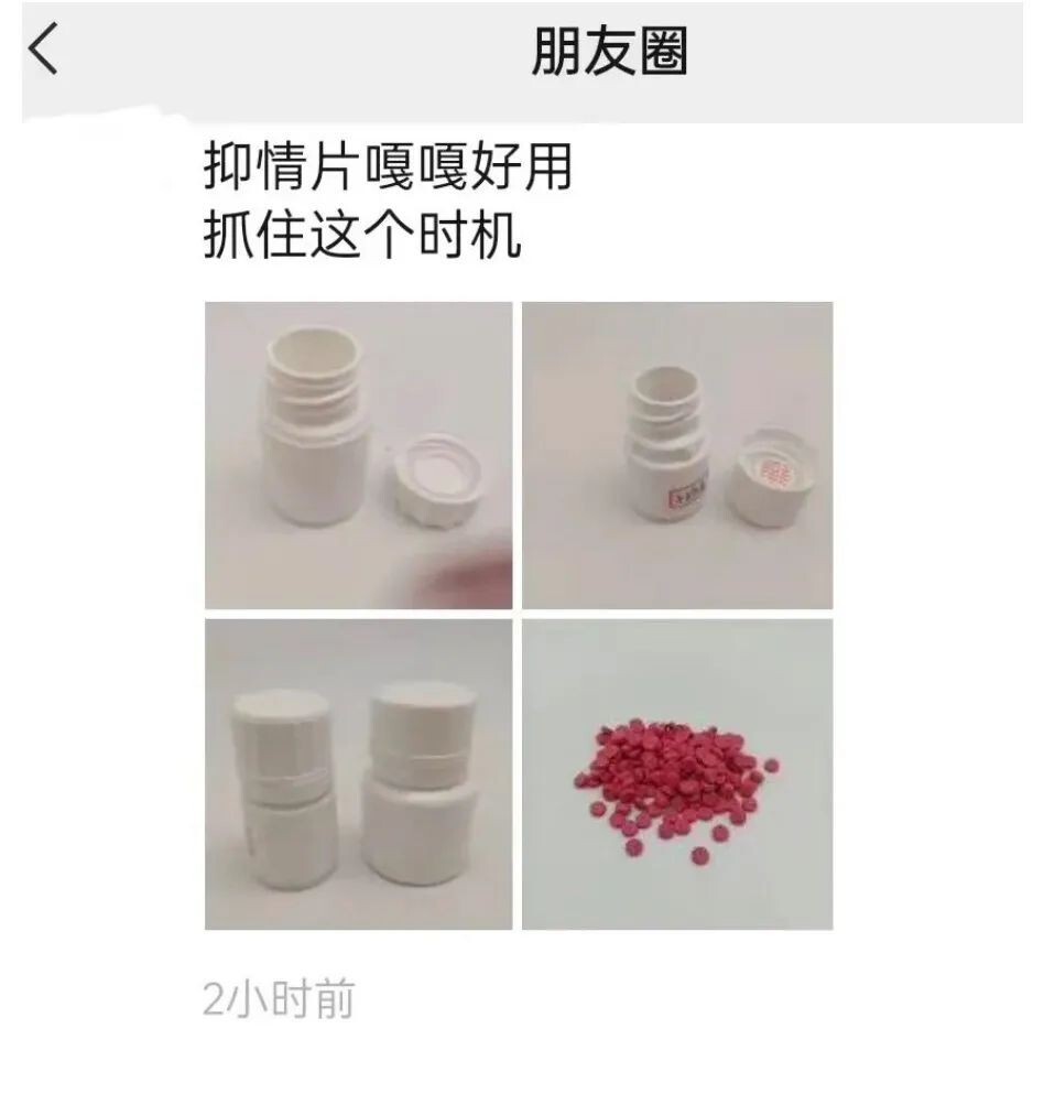 宠物发情喂避孕药可以吗?这些后果需要考虑