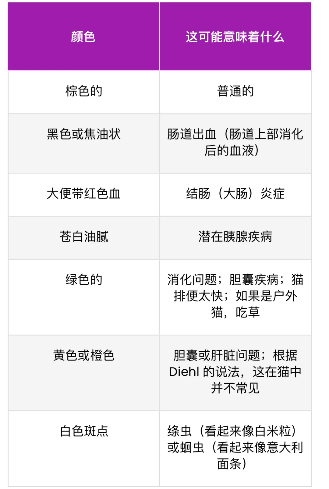 什么是猫腹泻？原因、应对及预防全攻略