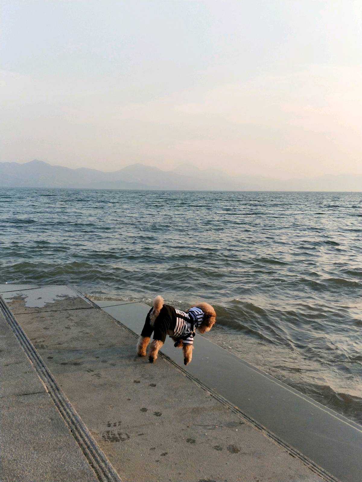 背影也能看出宝贝的心情好好[嘻嘻]家人陪伴的旅行才能这般任性[亲亲]