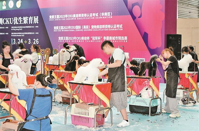 2023全球宠业展贸盛会!国潮主题的深宠展有哪些亮点?