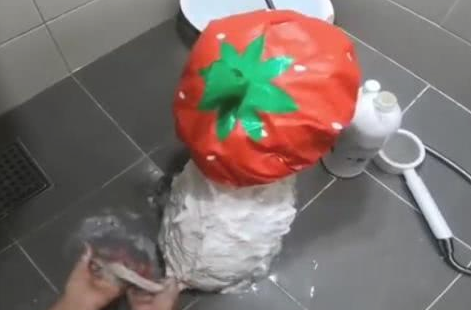 给小狗买来一个草莓苗浴帽,小宝贝带著遮阳帽老老实实洗澡的模样,太萌了