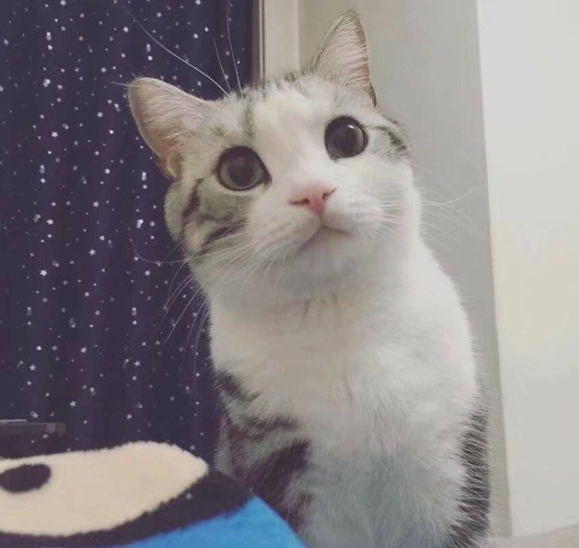 虽然我无聊 但是它膨胀啊/笑哭