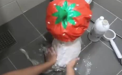 给小狗买来一个草莓苗浴帽,小宝贝带著遮阳帽老老实实洗澡的模样,太萌了