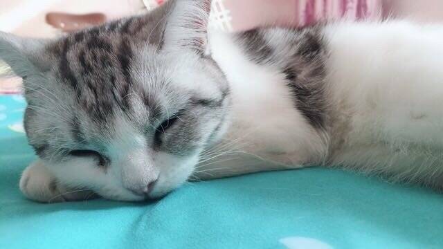 洗完澡以后可爱的小宝宝