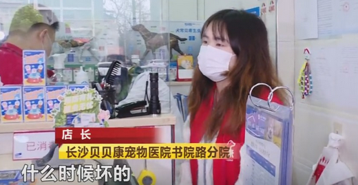 长沙一宠物医院给法斗犬洗澡,高温烘干致死,负责人:赔一两千了事